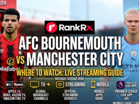 Manchester City vs AFC Bournemouth Premier League match at the Etihad Stadium